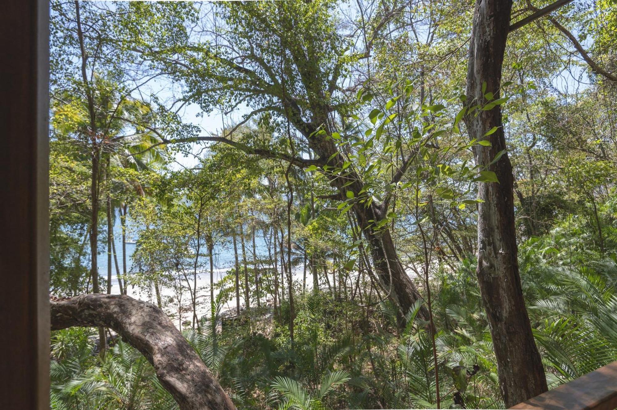 Los Vivos Beachfront Experience Pochote Luaran gambar